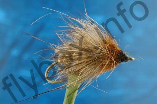 Hairy Hare's Ear Larva